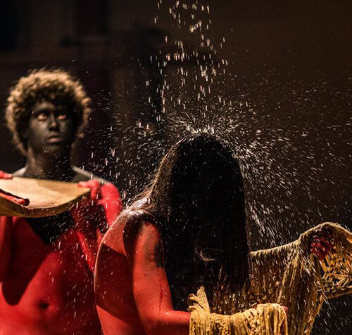 Red Appropriation- Alta Floresta MT - 2015 FOTO Bruna Obadowski 2